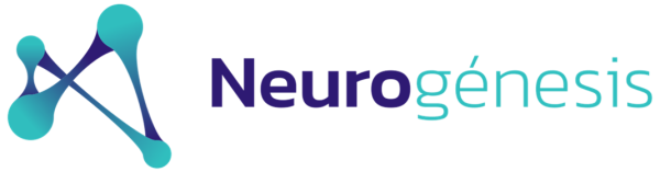Neurogénesis
