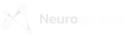 Neurogenesis banner web (1)
